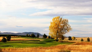 Eagle Rock Golf Course - Image 11